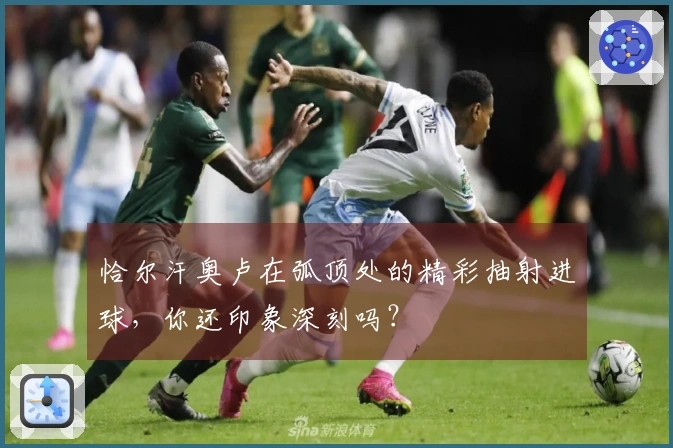 恰尔汗奥卢在弧顶处的精彩抽射进球，你还印象深刻吗？